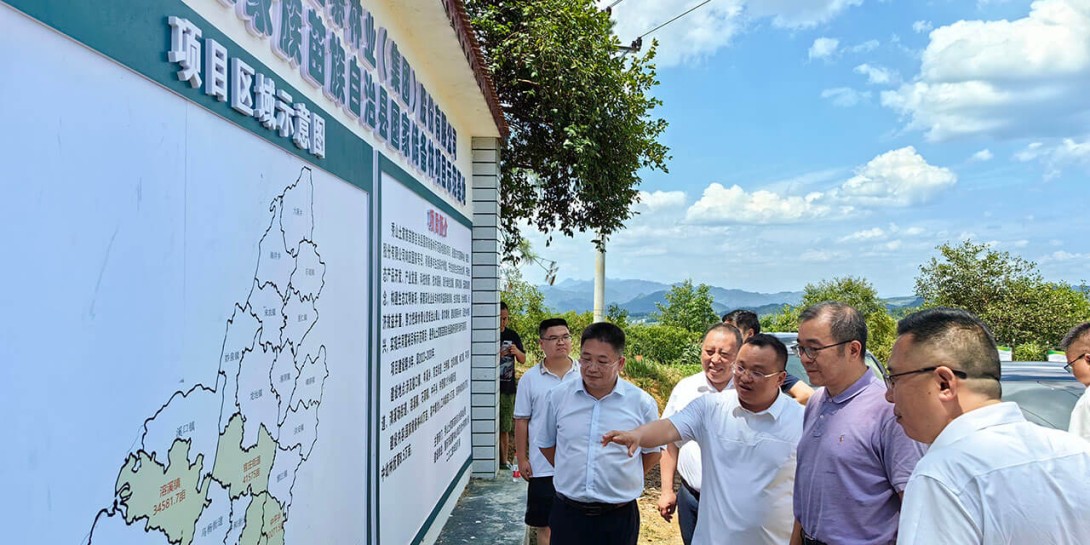 曹春华率队调研蛮寨集团秀山县国家储备林建设项目