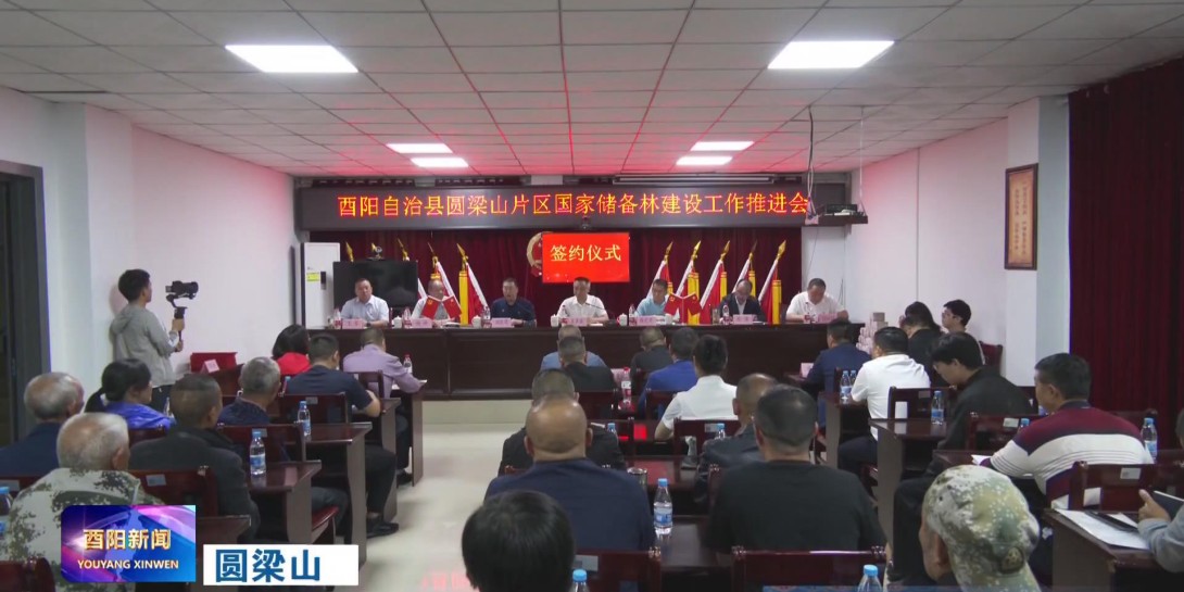 圆梁山片区国家储备林建设工作推进会