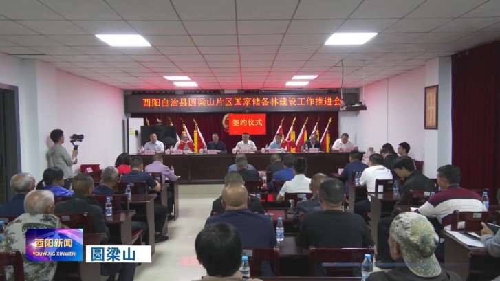 圆梁山片区国家储备林建设工作推进会