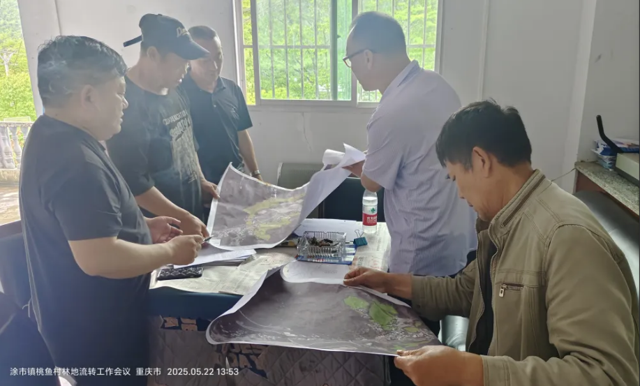 d36dd2e357a5b667599971ad737a032