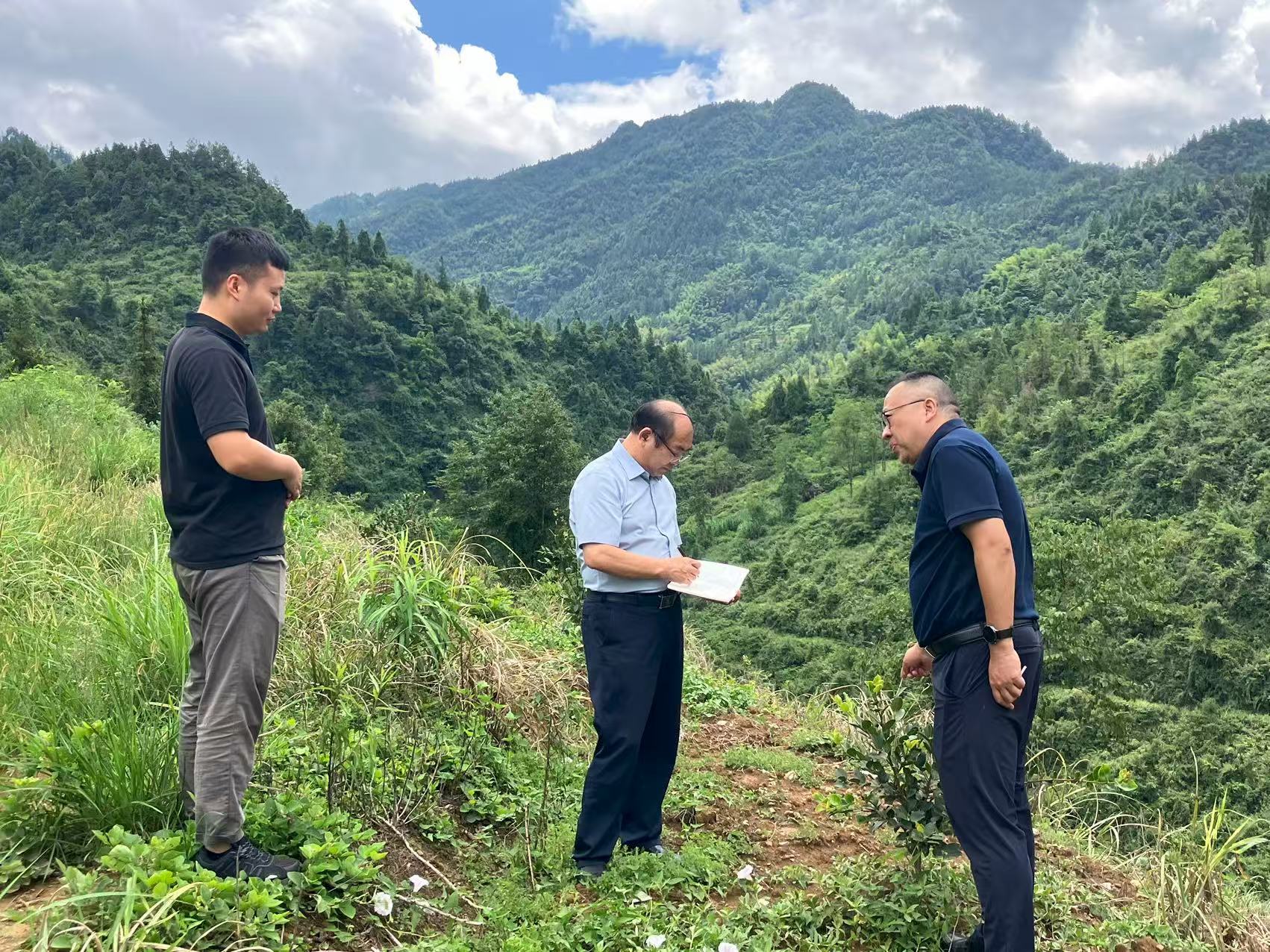 6e0129528a59a0d18e4e3e6f4586765