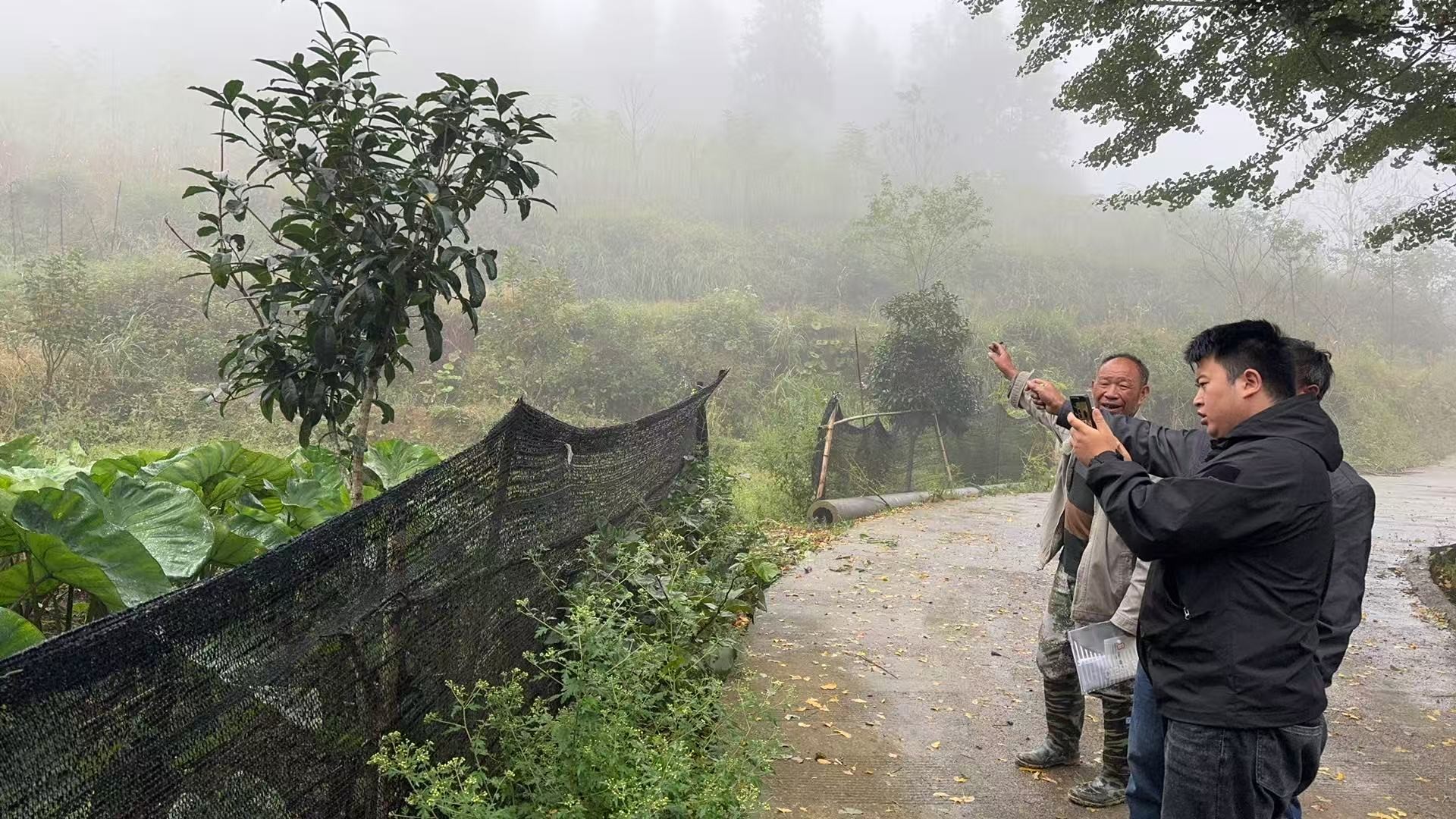 88931c2f23411750e7fa1d3b8954825b