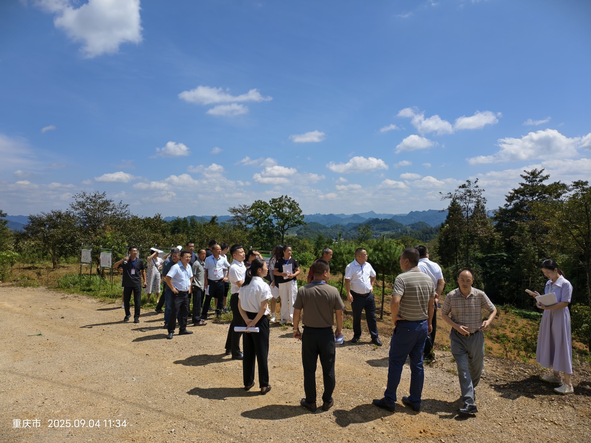 92cf940f193f5e21f6eca848ad2f3cf