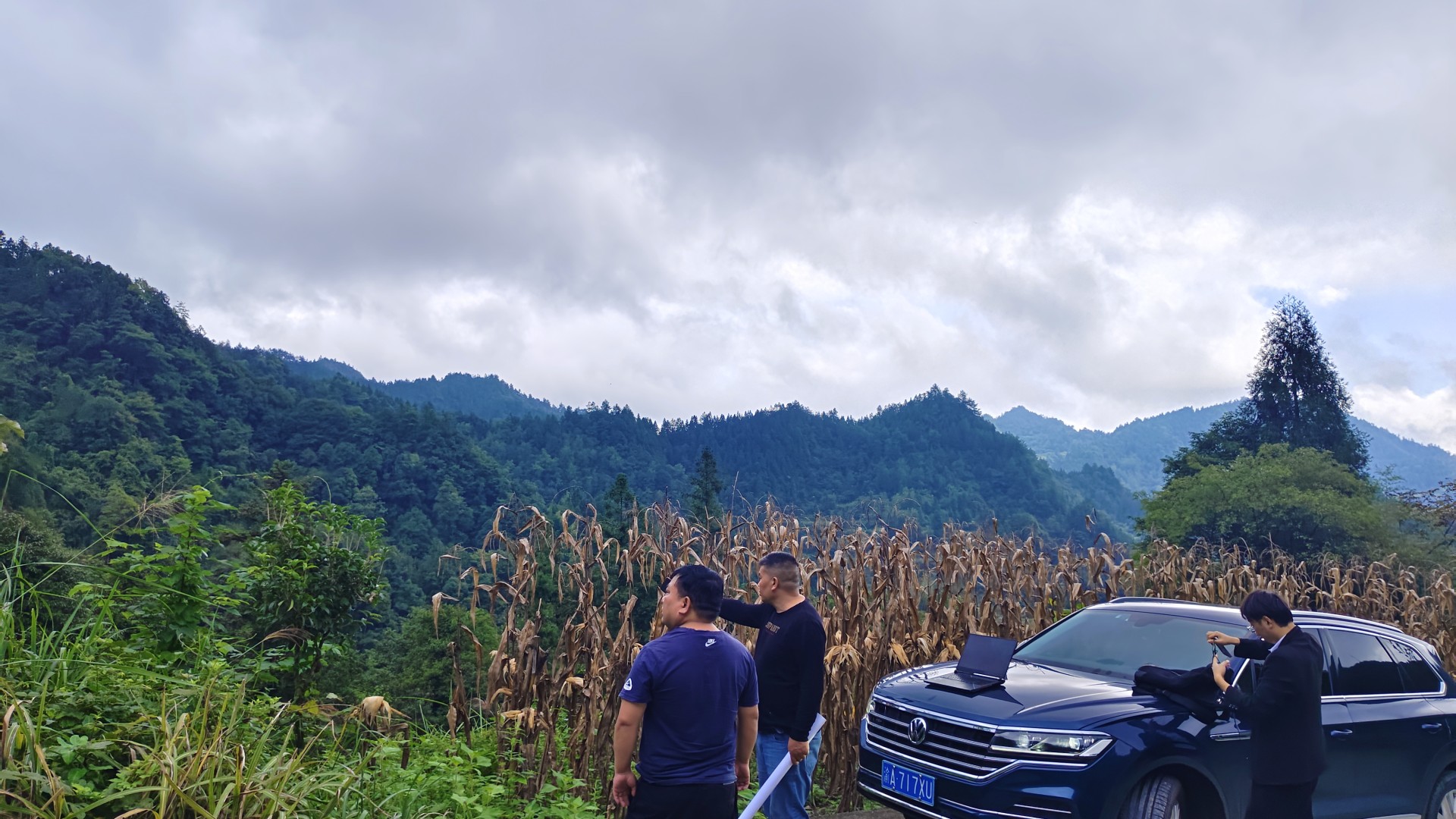 cce2bc6d8da520c82a37c500987708b