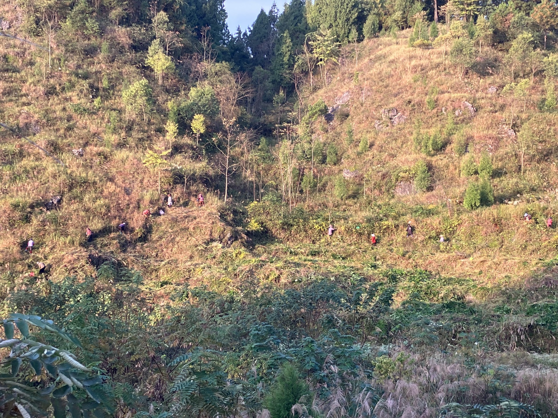 df5e4c4efb3ff429564f0d1c0c806093