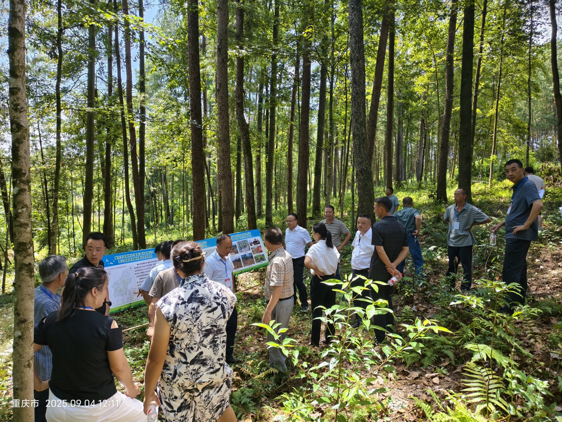 f9825b46cd731b540931f9ffccd2a7a