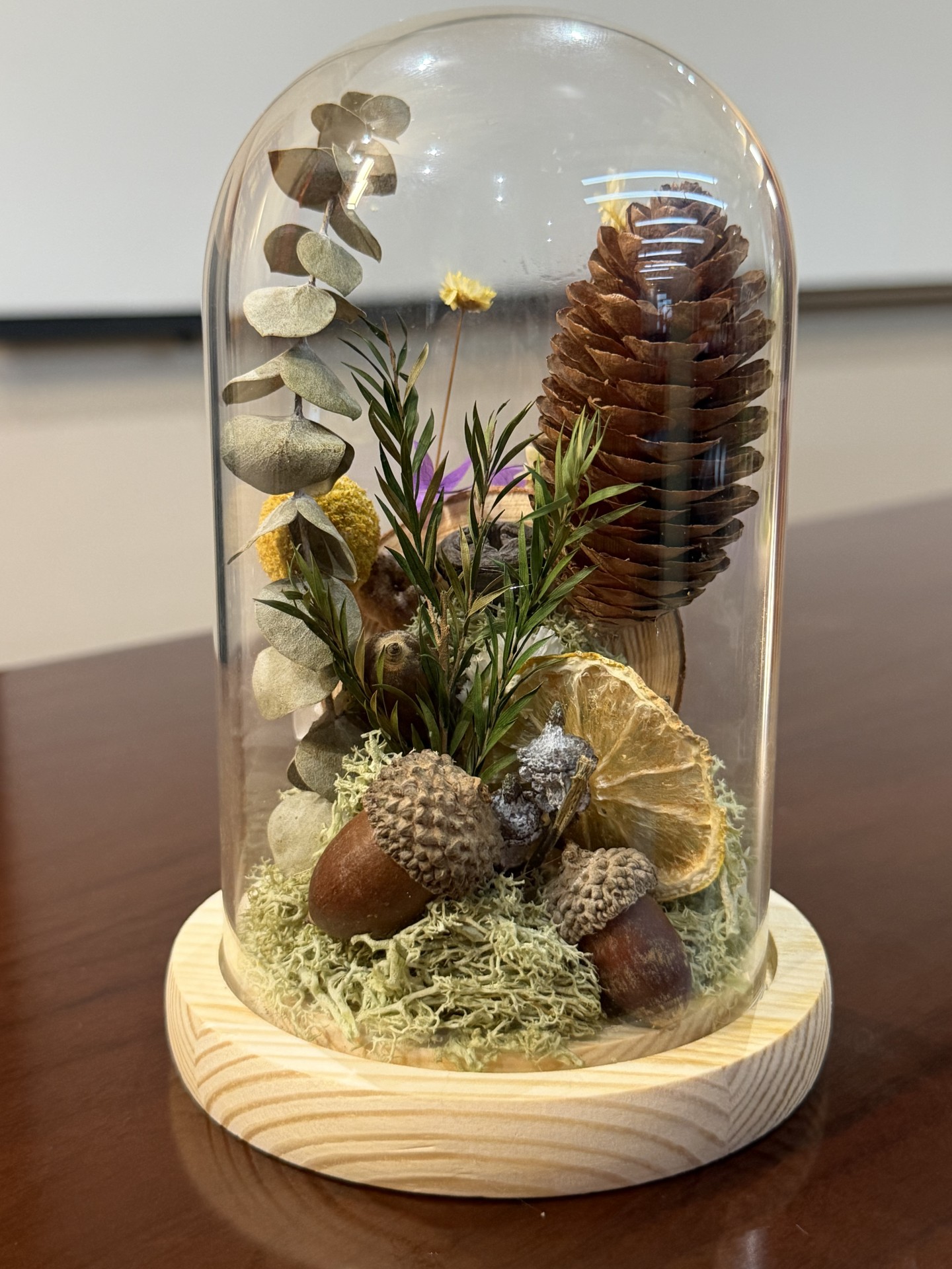 46c5f68fcec84157a1f9a783f855600